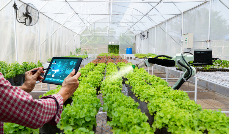 Irrigation & Agriculture Automation indoor farm monitoring